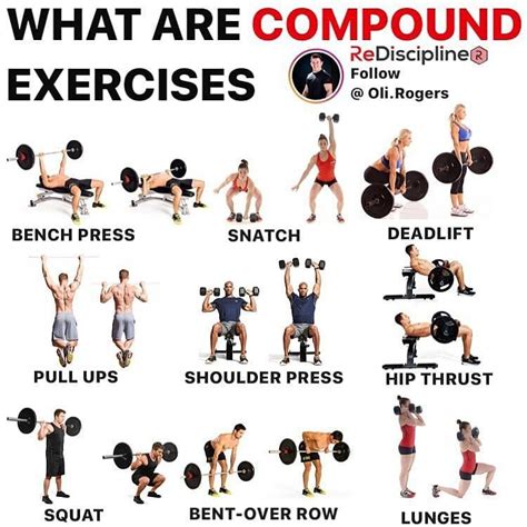 38 Compound Exercises For Each Muscle Group Gear List Campingground