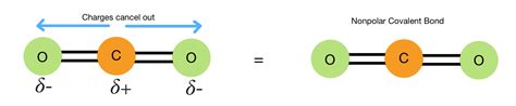 Polar And Nonpolar Covalent Bonds — Overview And Examples Expii