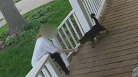 Caught On Camera Nebraska Police Nab Teen For Trying To Swipe Cat Fox News