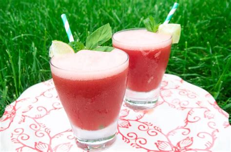 10 Best Watermelon Vodka Drinks Recipes