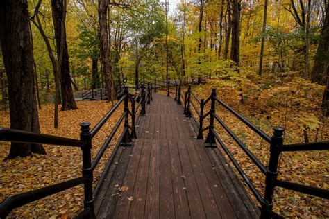 Free Images Tree Nature Forest Winter Track Trail Bridge