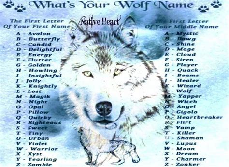 The Big Brotherhood Of The Wolfs Wolf Name Cute Animal Drawings