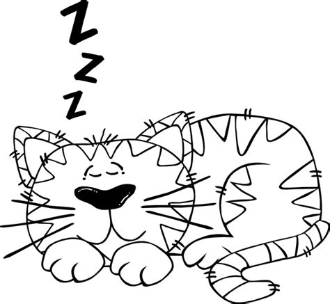 Sleeping | Cat sleeping, Sleeping animals, Cartoon cat