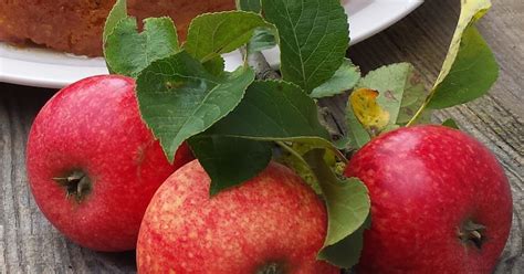 Maybe you would like to learn more about one of these? Apfel-Mandel-Kuchen - Schnelle Rezepte