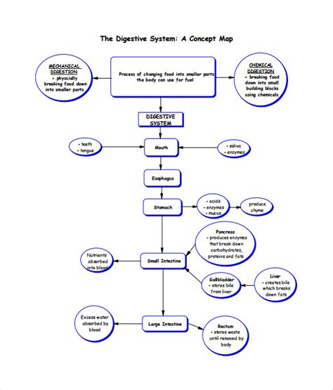 33 Digestive System Concept Map Maps Database Source