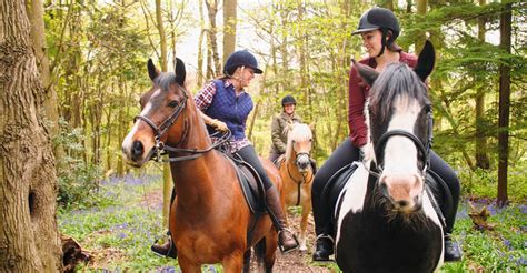 Join Us On One Of Our Hacks Riding School In Stockport