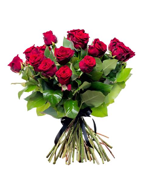 Flowers are precious beauty of nature, which gives expression to our emotions. Burgeon Floral Design. Beautiful Rose