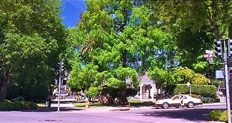 The scream franchise through four movies that began in 1996 have grossed over $600m at the global box office. Reel to Real Movie and TV Filming Locations: Scream (1996)