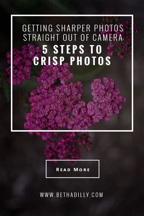 Getting Sharper Photos Straight Out Of Camera 5 Steps To Crisp Photos