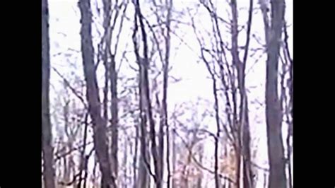 Bigfoot Believers Only Indiana Ridge Footage Youtube