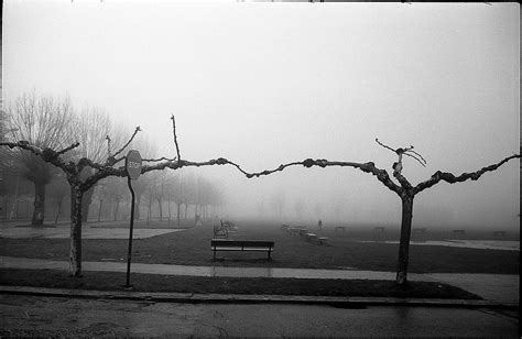 Niebla En Riaza Leica Iiia Summaron 3 5 35 Rollei Retro  Flickr