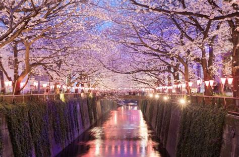 The Best Places To See Cherry Blossoms In Japan Ez Pass