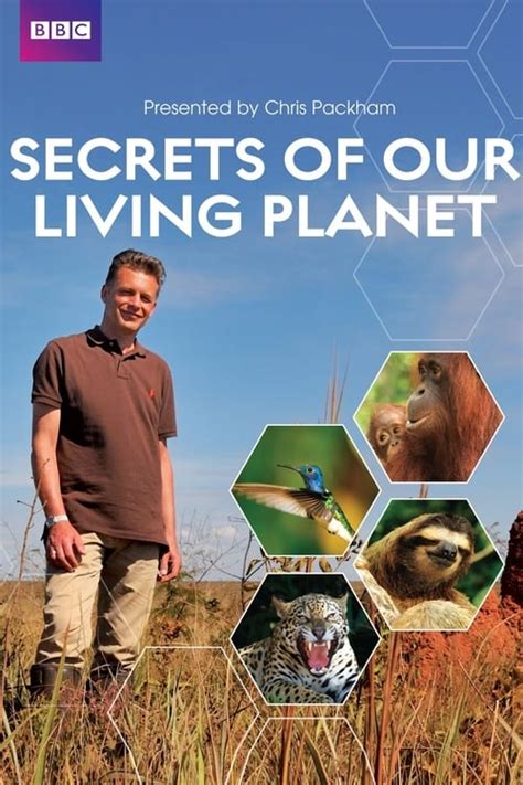 The Best Way To Watch Secrets Of Our Living Planet The Streamable