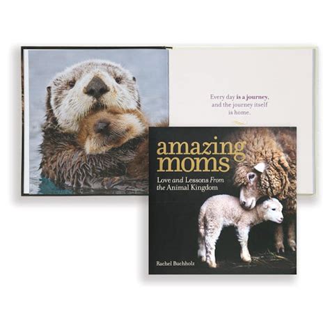 Amazing Moms Love And Lessons From The Animal Kingdom 9 Reviews 5