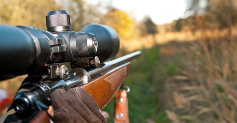 The 5 Best Hunting Rifle Scopes 2021 Reviews