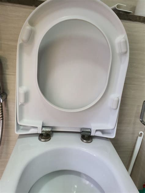 Different Types Of Toilet Seat Best Design Idea