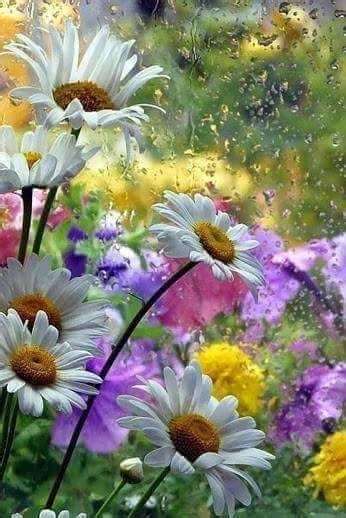 They are bright, desired, pleasantly smell. beautiful flowers on Tumblr