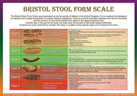 Stools Poster Featuring The Digital Art Bristol Stool Form Scale By Galina Imrie Bristol Stool