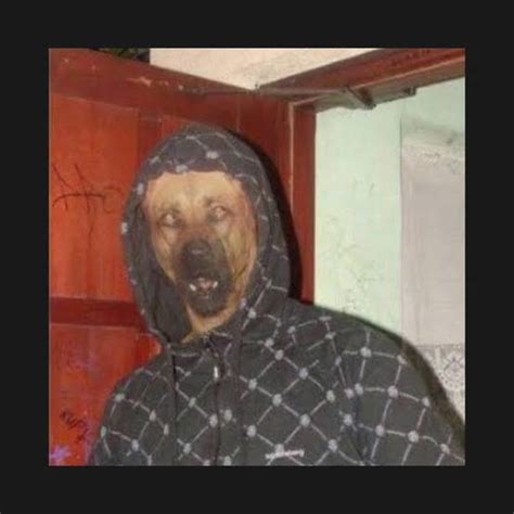 Calculating and working please be patient. Dog Man : funny