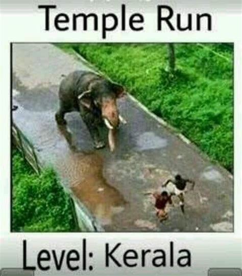 Funny one liners whatsapp status. Funny Dp For Whatsapp - Whatsapp Images