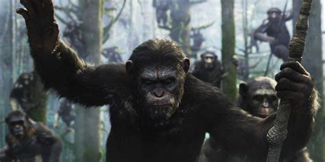 Could Apes Talk Like Humans Business Insider