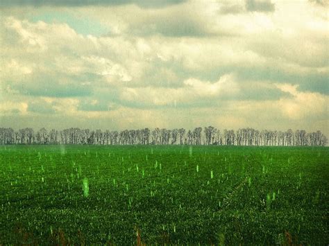 25,226 best motion background free video clip downloads from the videezy community. Forest Rain Wallpaper