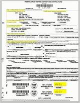 Images of New Federal Drug Testing Custody And Control Form