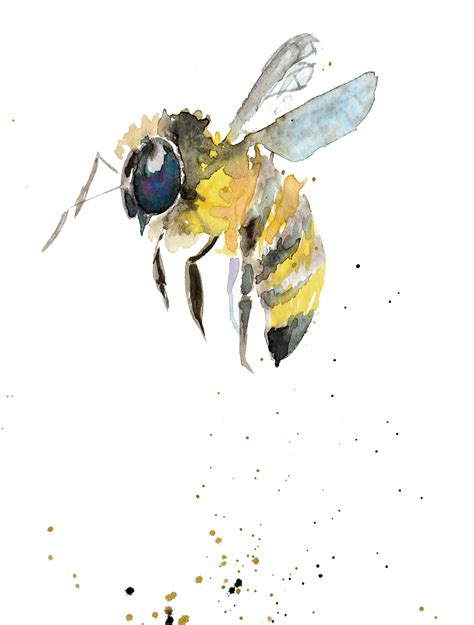 Bumblebee Insect Png Images Transparent Free Download Pngmart