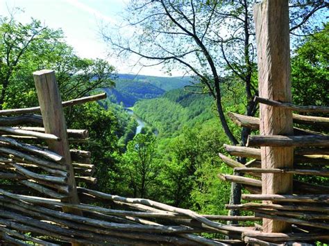 Top 20 Randonnées Et Balades Autour De La Roche En Ardenne Komoot