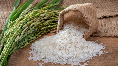 How To Keep Rice From Sticking To The Rice Cooker Check Out Our