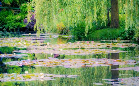 Monets Garden In Giverny France Bing Wallpapers Sonu Rai