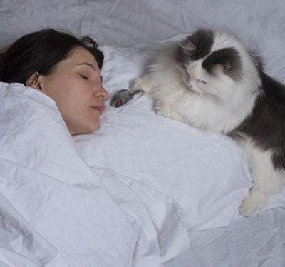 If you don't know how to properly this is totally bullshit.how can a cat be diagnosed with autism when being anti social and other signs named in this study are in their natural make up anyway. Can Cats Have Autism? The Truth About Your Feline's Behavior