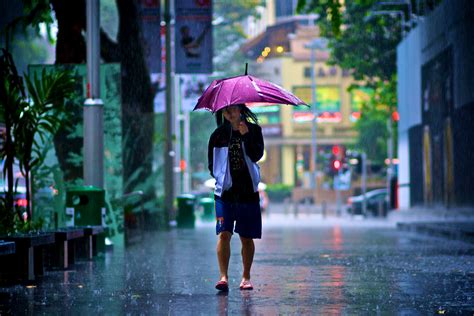 When it rains in singapore, it often pours, meaning that many of the best outdoorsy things to do and see are automatically crossed off your day's itinerary. SSISS: Water usage back to normal, national jobs bank to be launched in middle of the year ...