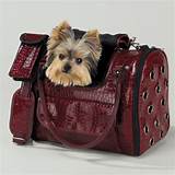 Cool Dog Carriers