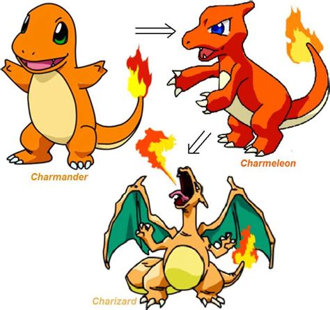 Charmander Evolution Pokemon Charmander Evolution