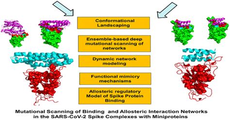 Allosteric Control Of Structural Mimicry And Mutational Escape In The