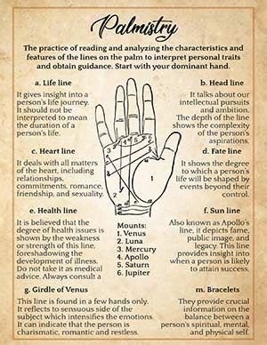 Palm Reading Guide How To Read Your Own Palm Palm Reading Palmistry