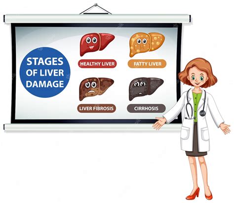 Free Vector Diagram Showing Stages Of Liver Damage