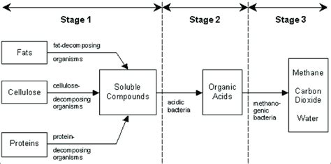 The Three Stages Of Anaerobic Digestion Involving Three Sets Of