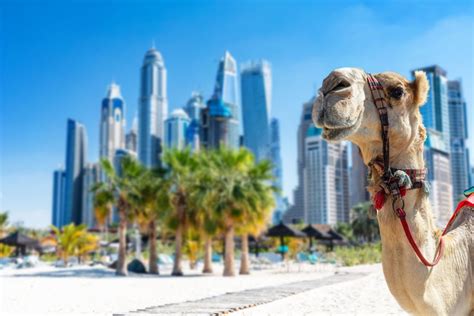 Dubai 7 Things Travelers Need To Know Before Visiting Travel Off Path