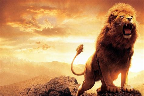 Roaring Lion Wallpaper Hd