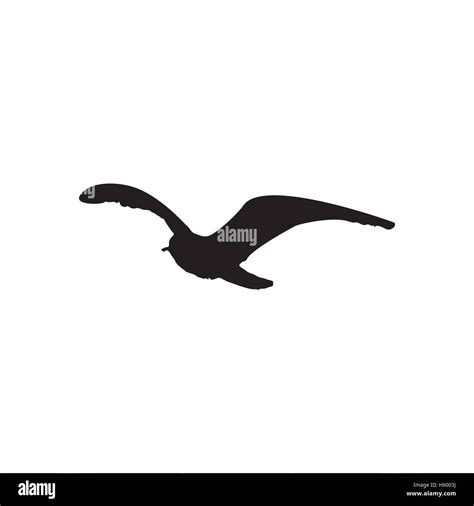 Flying Seagull Bird Black Silhouette Isolated On White Background Stock