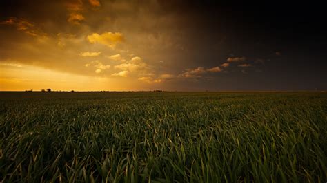 Wallpaper Sunlight Landscape Food Sunset Nature Sky Field