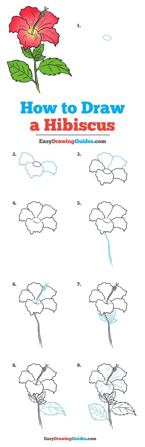 Hibiscus Flower Drawing Step By Step