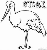 Stork Coloring Colorings sketch template