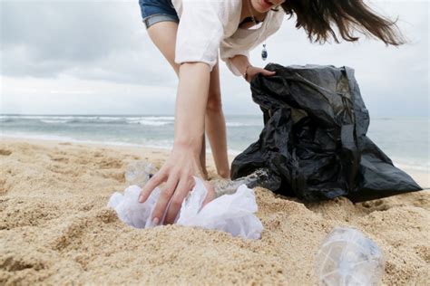 Participer à Une Opération Ramassage De Déchets Pour La Planète