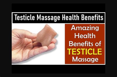 Testicle Massage Health Benefits Amazing Health Benefits Of Testicle Massage