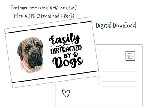 English Mastiff Dog Printable 4x6 And 5x7 Postcards Digital Download Etsy