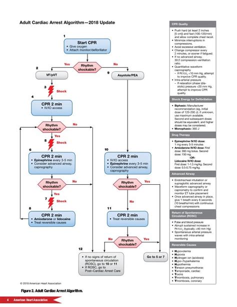 printable acls algorithm 2020 customize and print