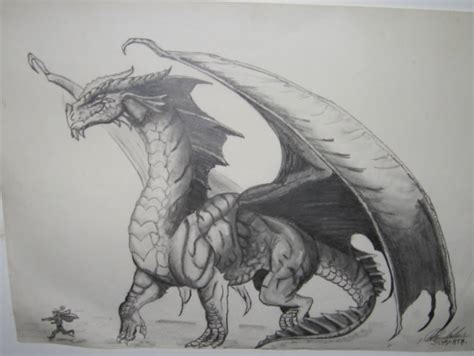 Realistic Dragon Drawings Design Trends